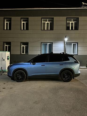 Weltmeister: Weltmeister W6, 2022 г., 54000 км — 5