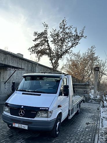 Mercedes-Benz: Mercedes-Benz Спринтер: 1999 г., 2.9 л, Механика, Дизель, Бус — 2