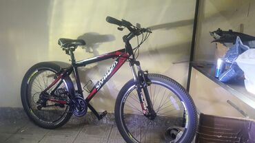 İdman velosipedləri: Dağ velosipedi Salcano, 26"