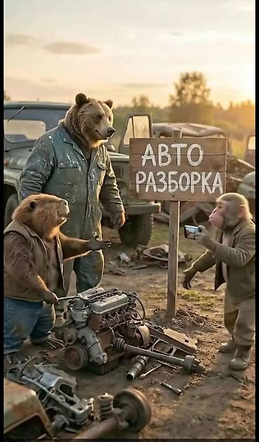 авто химии: Даево нексия разбордо бардык запчасти бар мелыч нерселер матор каропка — 6