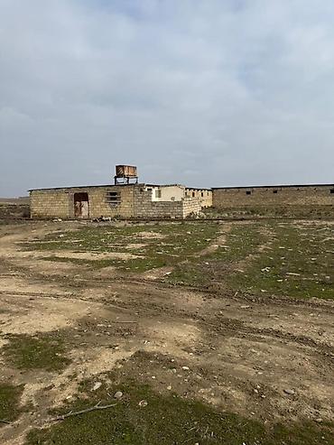 İcarəyə binalar: Torpaq sahəsi icarəyə verilir. Hövsan qəsəbəsində yerləşən ferma — 6