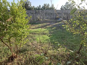 ucarda satilan evler: 2 sot, Tikinti — 4