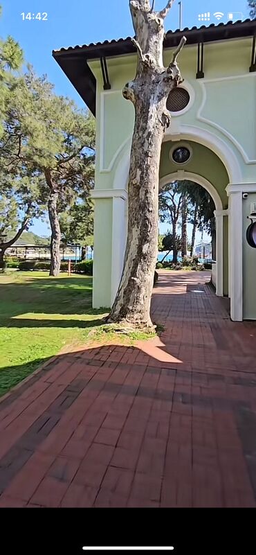 Ağlay: 1.8 azn dən başlayan TOPDAN SATİŞ Bir başa zavod satiş qiymətləri — 19