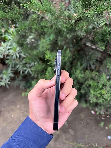 iphone mega max: IPhone 16 Pro, 256 GB, Black Titanium — 3
