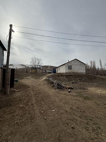 сары булун: Кой короо, 40 соток, Жабдууларсыз, Электр энергиясы, Жылытуу, Муздак суу — 1
