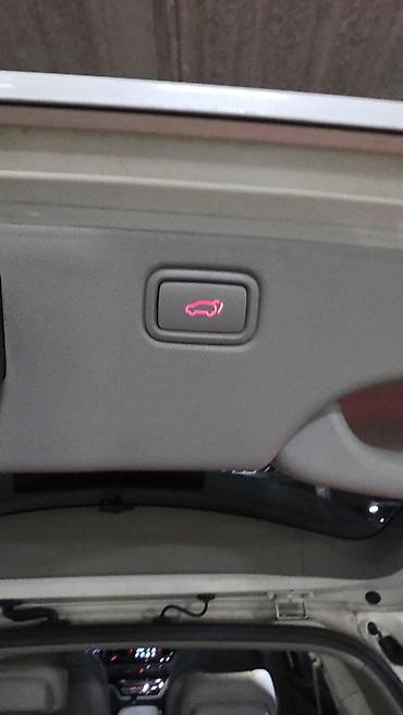 Kia: Kia Carnival: 2019 г., 2.2 л, Дизель — 20