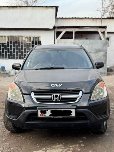 я ищу срв: Honda CR-V: 2004 г., 2.4 л, Автомат, Бензин