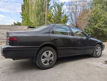 буу машина: Toyota Camry: 1998 г., 3 л, Автомат, Бензин, Седан