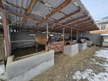 Продажа домов: Дом, 200 м², 5 комнат — 9