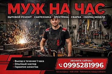 Мелкосрочные работы, Муж на час