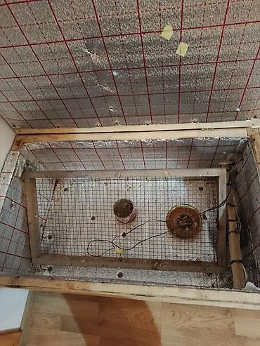Инкубаторы: Elektriklə işləyən taxta inkubator/qatarlayıcı kamera - Korpus — 3