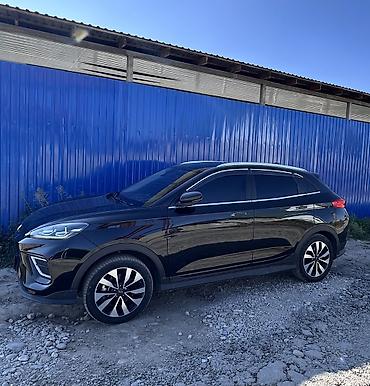 neta x: Weltmeister EX5, 2020 г. — 2