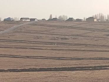 Продажа участков: 1300 соток, Для сельского хозяйства, Договор купли-продажи — 26