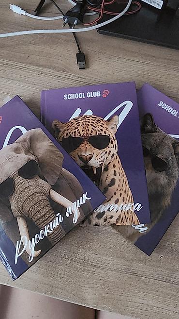 чехлы накидки: Тетради SCHOOL CLUB, набор из 3 шт. кемп набор - Формат: примерно — 1