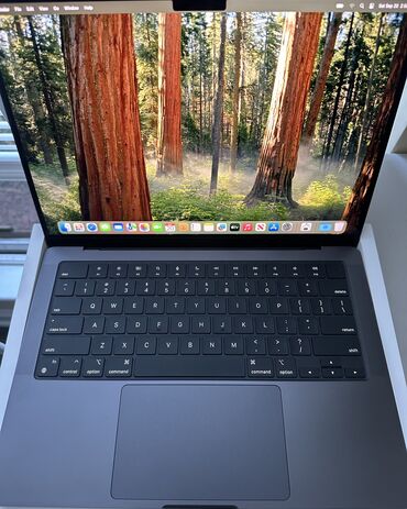 ноутбук 3060: Ультрабук, Apple, 16 ГБ ОЗУ, Apple M4, 14.3 ", Б/у, Игровой, память SSD