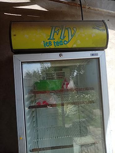 Холодильный шкаф-витрина Ugur (брендирование Fly Ice Tea) - Тип
