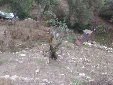 Həyət evləri və villaların satışı: 2 otaqlı, 11 kv. m, Orta təmir — 6