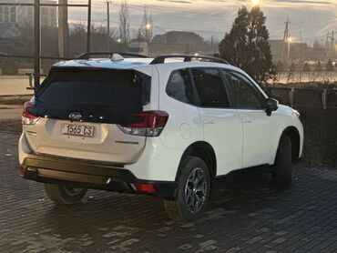Subaru: Subaru Forester: 2019 г., 2.5 л, Вариатор, Бензин, Кроссовер — 6