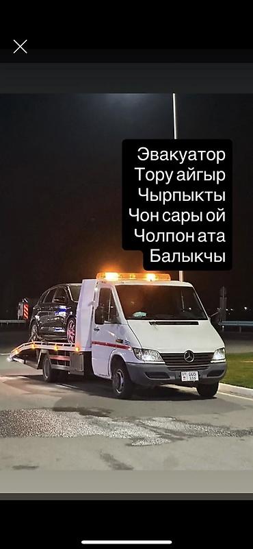 холодильник в караколе: С лебедкой — 1