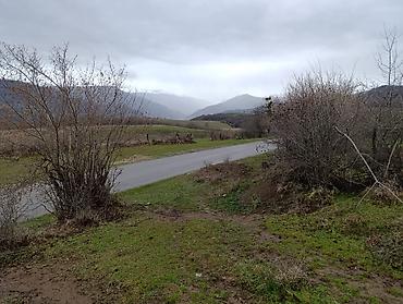ismayilli torpaq: 12 sot, Tikinti, Mülkiyyətçi, Kupça (Çıxarış) — 3