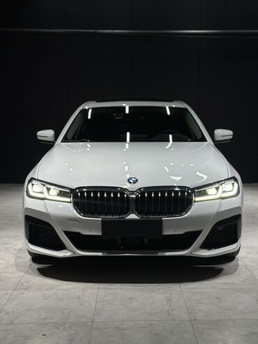 BMW: BMW 5 series: 2020 г., 2 л, Автомат, Дизель, Седан — 17