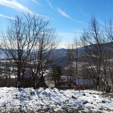 Torpaq sahələrinin satışı: 65 sot, Kənd təsərrüfatı, Mülkiyyətçi, Kupça (Çıxarış), Bələdiyyə — 10