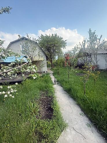 Продажа дач: 🔥 Продается дачав селе Байтик 5 соток Красная книга 3 комнаты — 1