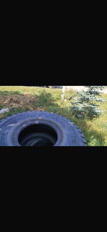 355 50 22 5: Шины карьерные/погрузочные размер 23.5‑25. - Типоразмер: 23.5‑25 — 3