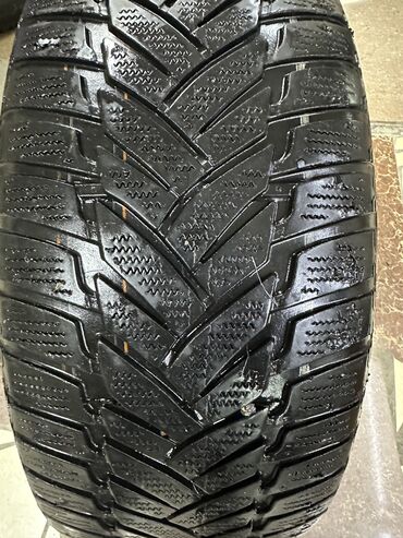 шины 225 65 16: Шины 225 / 55 / R 16, Зима, Б/у, 1 шт, Dunlop