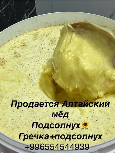 орех оптом: Продаю Мёд 🍯 Алтайский только оптом натуральный 100% Гречка +подсолнух