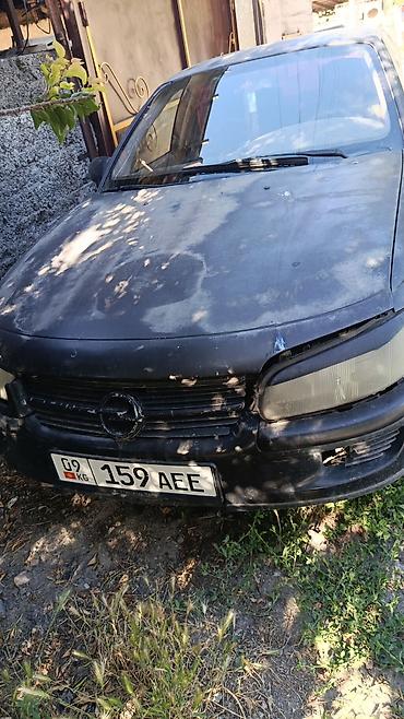 Opel Omega: 1996 г., 2.5 л, Автомат, Бензин, Седан