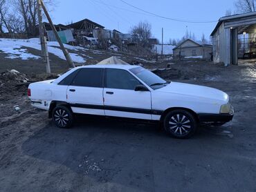 Audi: Audi 100: 1988 г., 2.2 л, Механика, Бензин, Седан