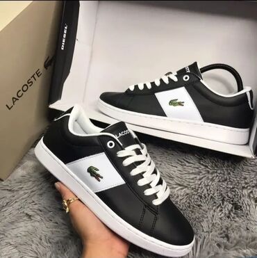 lacoste очки: Lacoste 🔥🔥🔥