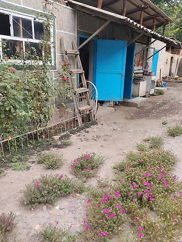 жылой вагон: 📍 ЛОКАЦИЯ: с. Панфиловское (НЕ Каинды!) Дом с участком и — 2