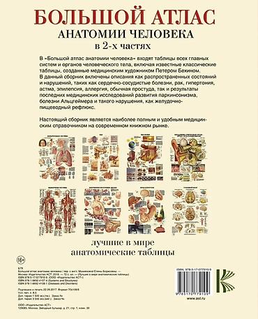 Учебники: Большой атлас анатомии человека (в 2-х частях) Иллюстрированное — 2