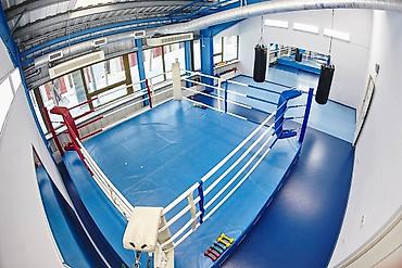 Другое для спорта и отдыха: Маты Ковры маты даянги татами дзюдо борцовские ковры гимнастические — 12