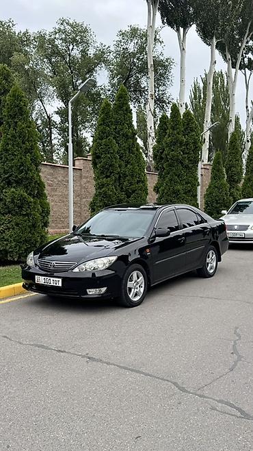 add blue: Toyota Camry: 2005 г., 2.4 л, Автомат, Бензин, Седан — 3