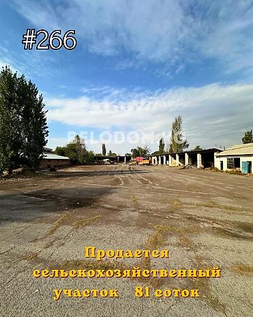 81 соток at lalafo.kg 81 соток