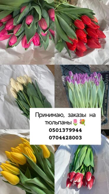 Цветы и букеты: Продаем ОПТОМ!! Тюльпаны с луковицей /🌷 а так же розы/ по самой