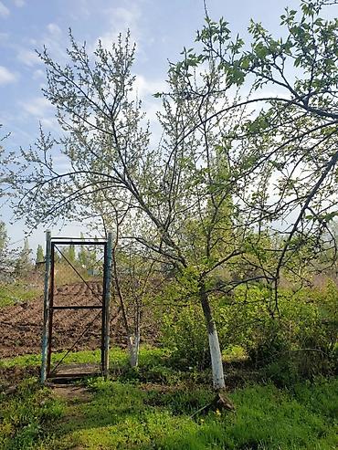 мкр улан: 4 комнаты, 85 м², 28 соток, Джал, Собственник — 10