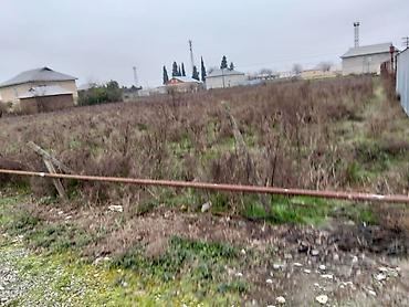 Torpaq sahələrinin satışı: 35 sot, Tikinti, Mülkiyyətçi — 18