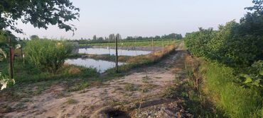 Torpaq sahələrinin satışı: 400 sot, Kənd təsərrüfatı, Mülkiyyətçi, Kupça (Çıxarış) — 22