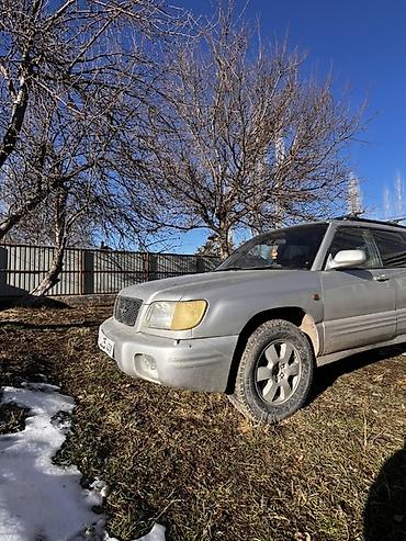 Subaru: Subaru Forester: 2000 г., 2 л, Автомат, Бензин, Кроссовер — 4