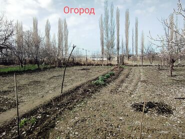 Продажа домов: Дом, 73 м², 4 комнаты, Собственник, Косметический ремонт — 15