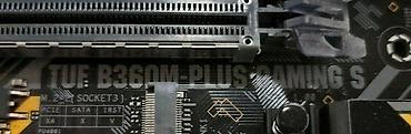 Техника и электроника: Intel Core i7 8700 + 64GB RAM + 250GB 970 EvoPlus + Asus TUF — 2