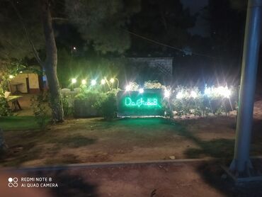 Bayram məhsulları: Bağ işıqı Yerüstü