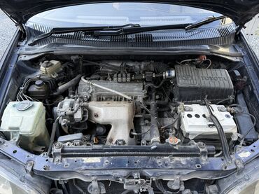 Toyota: Toyota Ipsum: 2000 г., 2 л, Автомат, Газ, Минивэн — 18