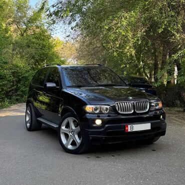 bwm самурай: BMW X5: 2005 г., 4.8 л, Автоматтык, Бензин, Жол тандабас