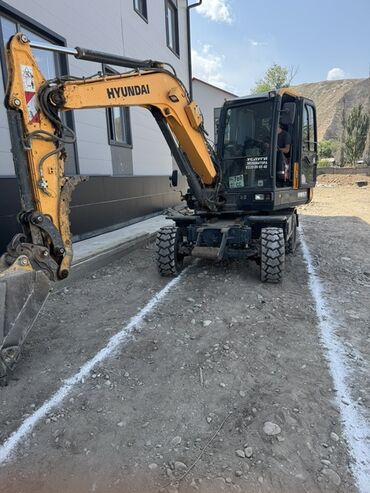 продажа щенков немецкой овчарки с документами в бишкеке: Абиссинская, 5 месяцев, Девочка, Лавандовый, Кастрирована