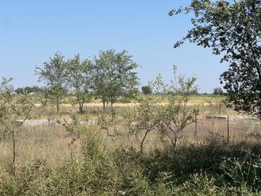 сдам частный дом без хозяина в бишкеке: 5 соток, Бизнес үчүн, Кызыл китеп, Сатып алуу-сатуу келишими